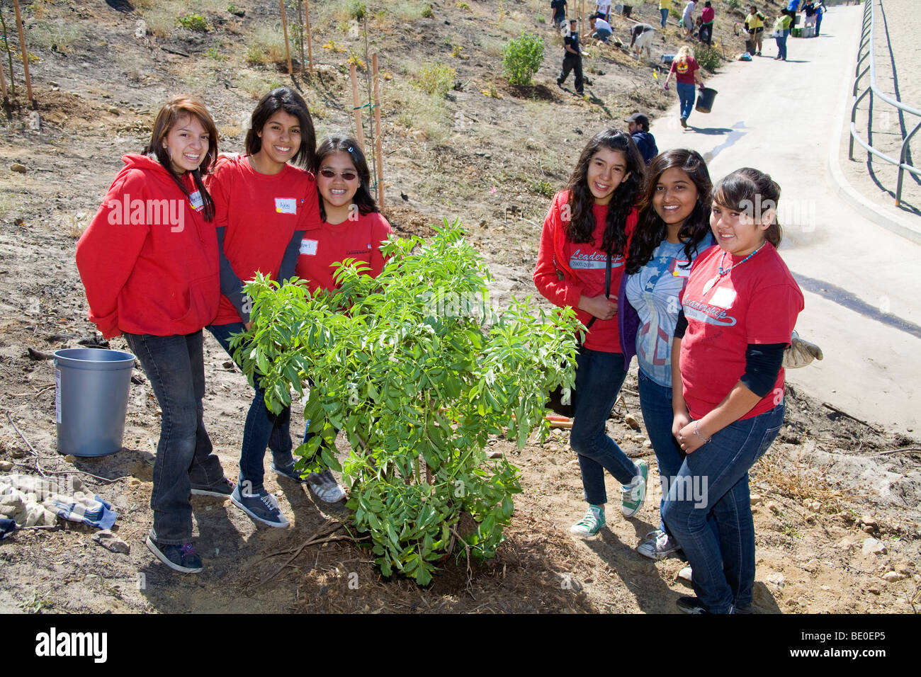 Freiwillige helfen bei Baumpflanzungen Stetson Ranch Park in Sylmar nach den verheerenden Lauffeuer 2008 wieder aufzuforsten. California Stockfoto