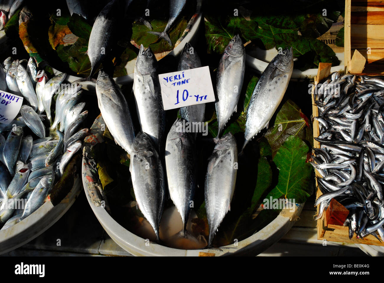 Fischmarkt am Evren Caddesi, Goldenes Horn, Halic Istanbul, Türkei Stockfoto