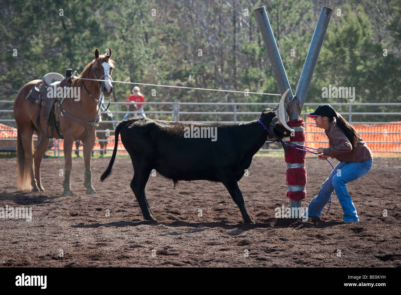 Weibliche Rodeo Konkurrent bindet Paketschnur Kalb. Stockfoto