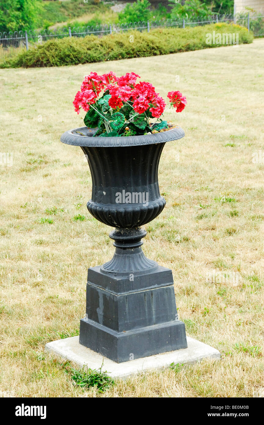 Rote Blumen in Vase auf Tür Park Stockfoto