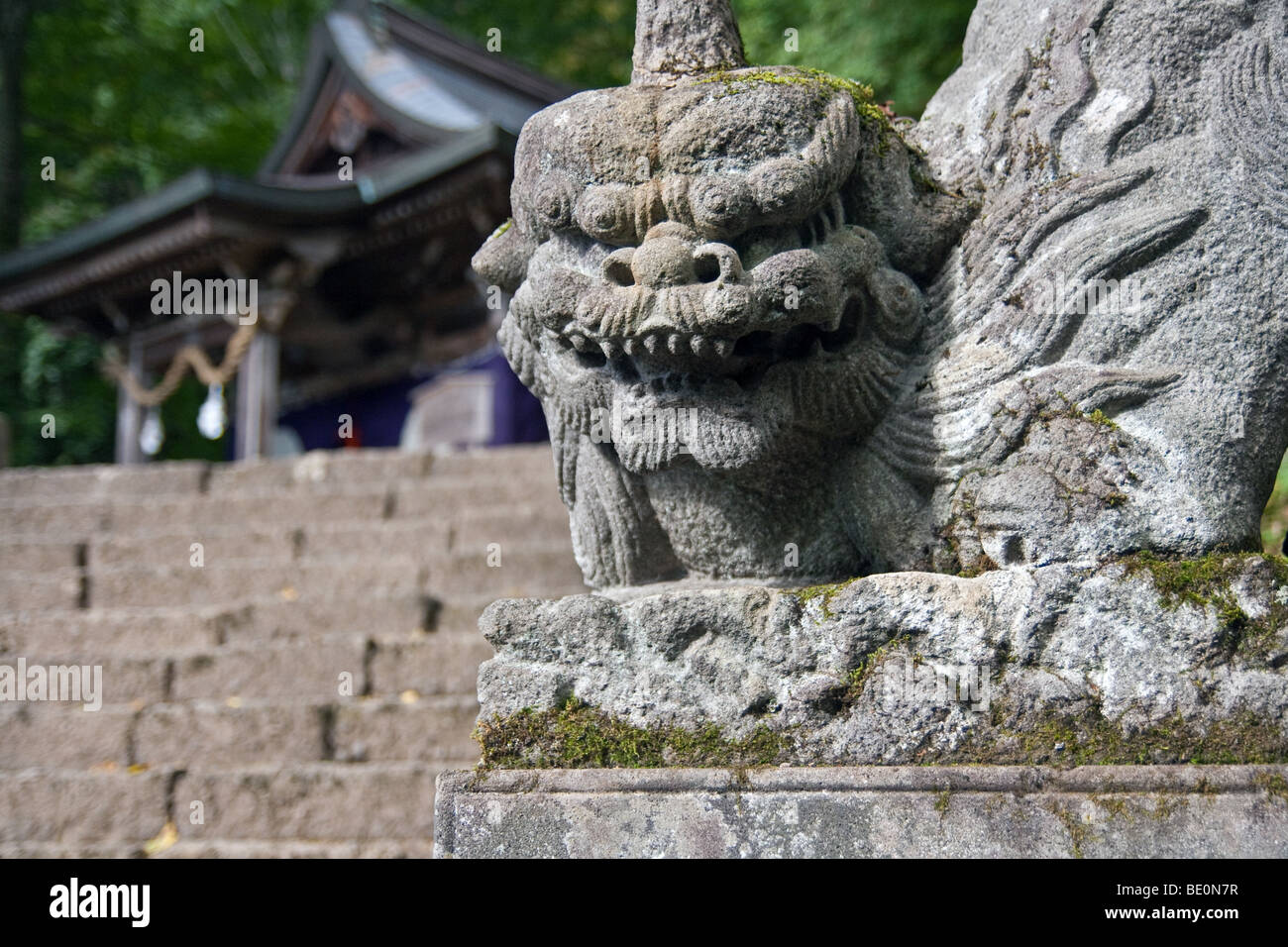 Koma-Inu (Löwe Schutzhund) am Okusha-Schrein in Togakushi, japan Stockfoto