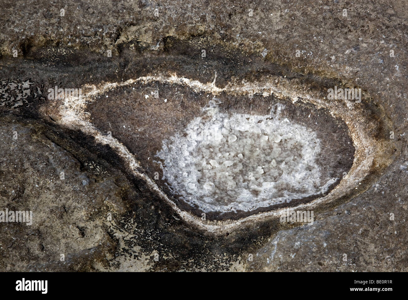 Meersalzkristalle; in einem getrockneten Rock pool Stockfoto
