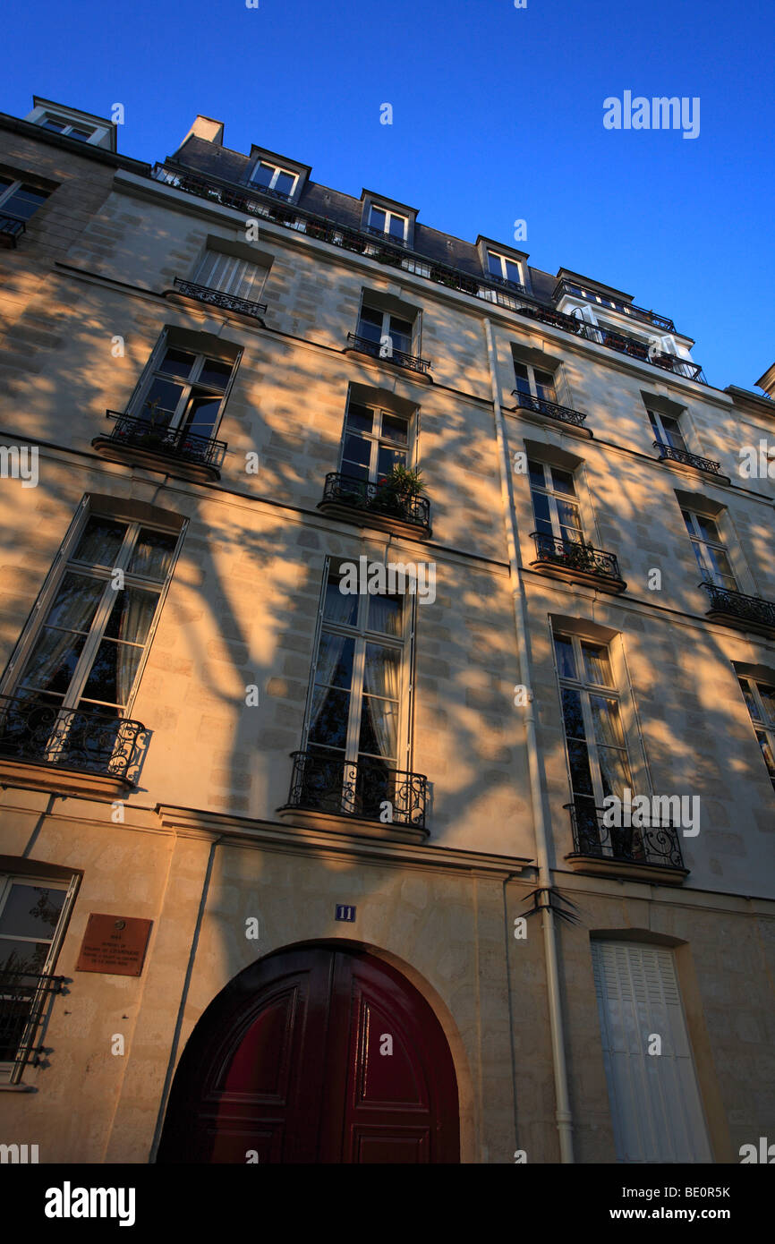 Licht des frühen Morgens Schecken auf der Ile St. Louis Paris France Stockfoto