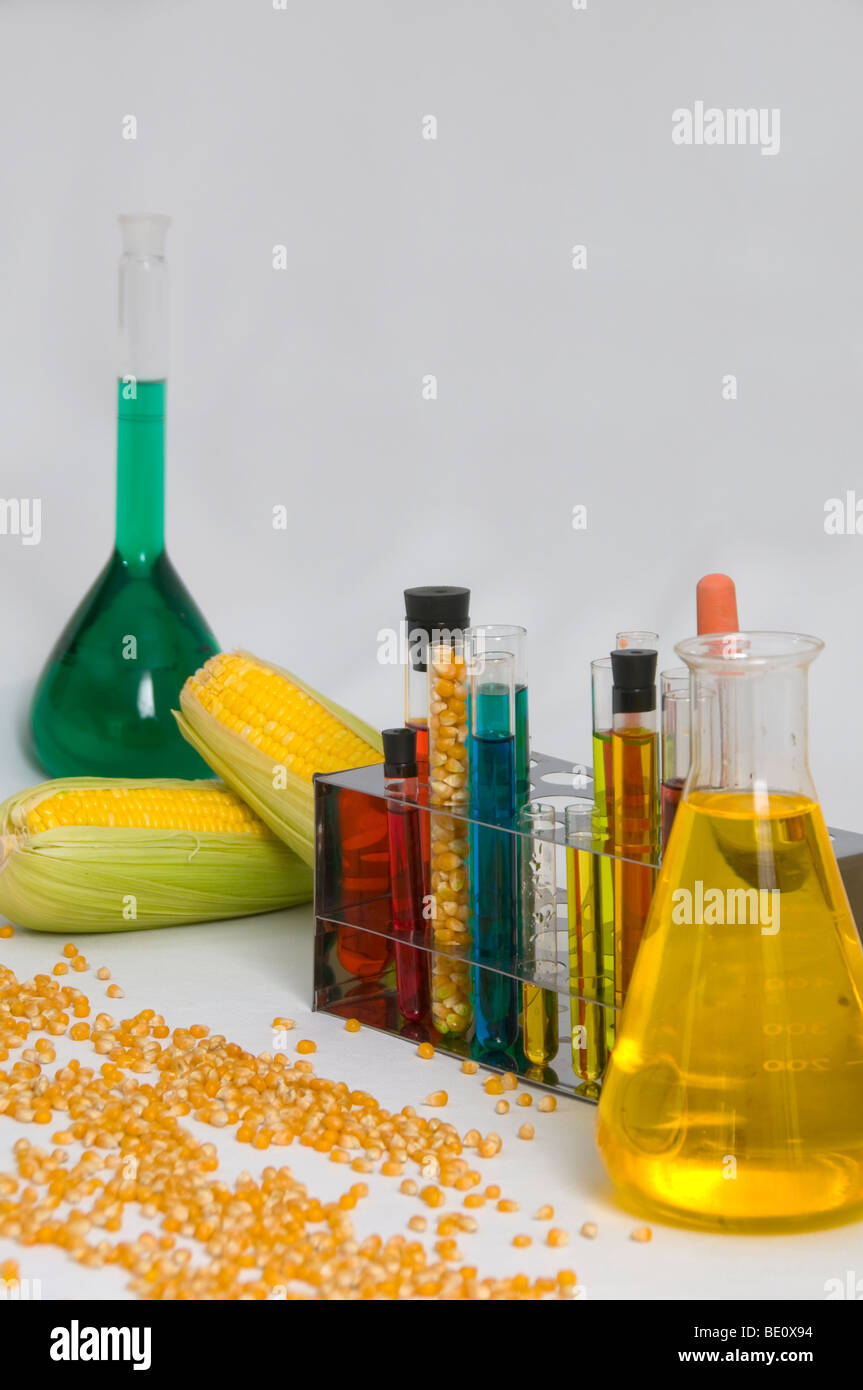 Bio-Kraftstoff-Konzept mit Mais und Chemikalien Stockfoto