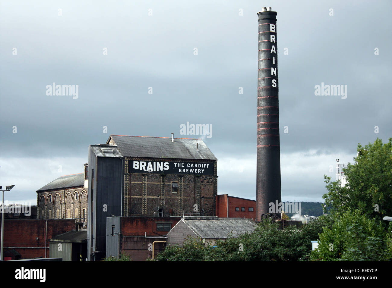 Gehirn-Brauerei in cardiff Stockfoto