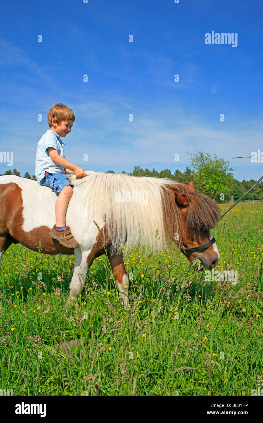 Junge, Ponyreiten Stockfoto