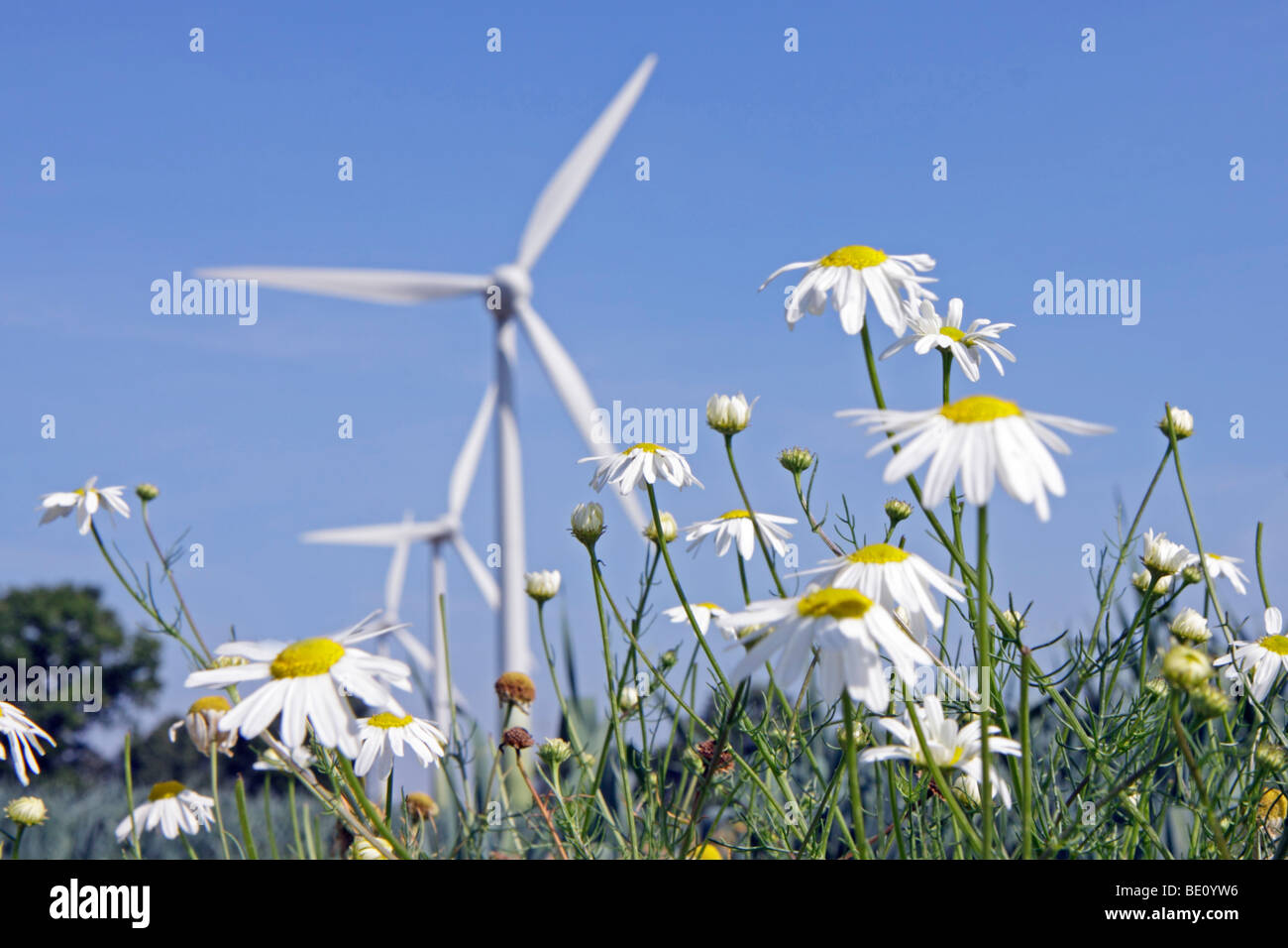 Wind-Kraftwerk auf dem Land, Niedersachsen, Deutschland Stockfoto