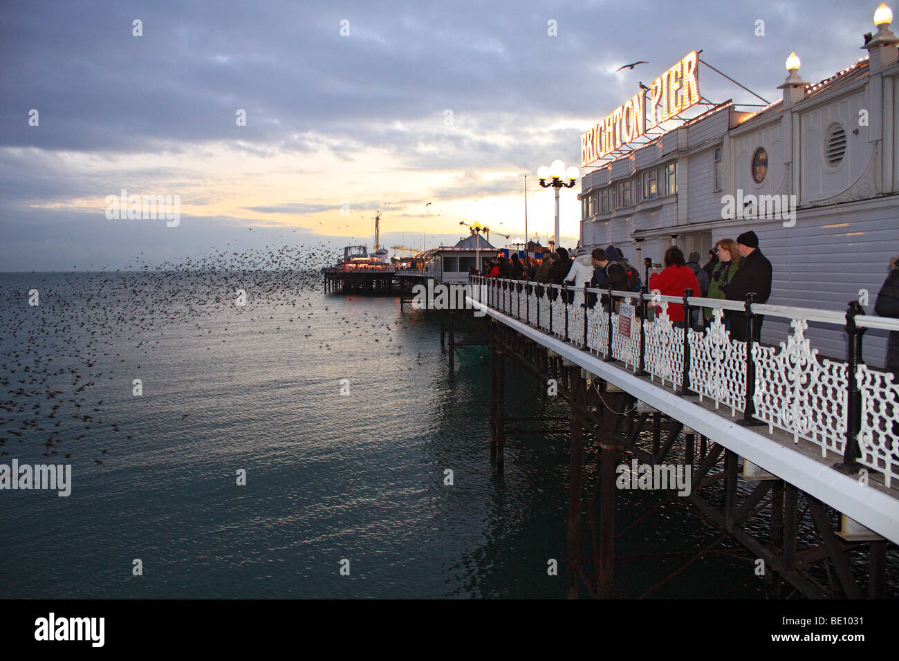 Stare in der Abenddämmerung, die Vorbereitung zum Schlafplatz am Pier von Brighton, Sussex, England, UK Stockfoto