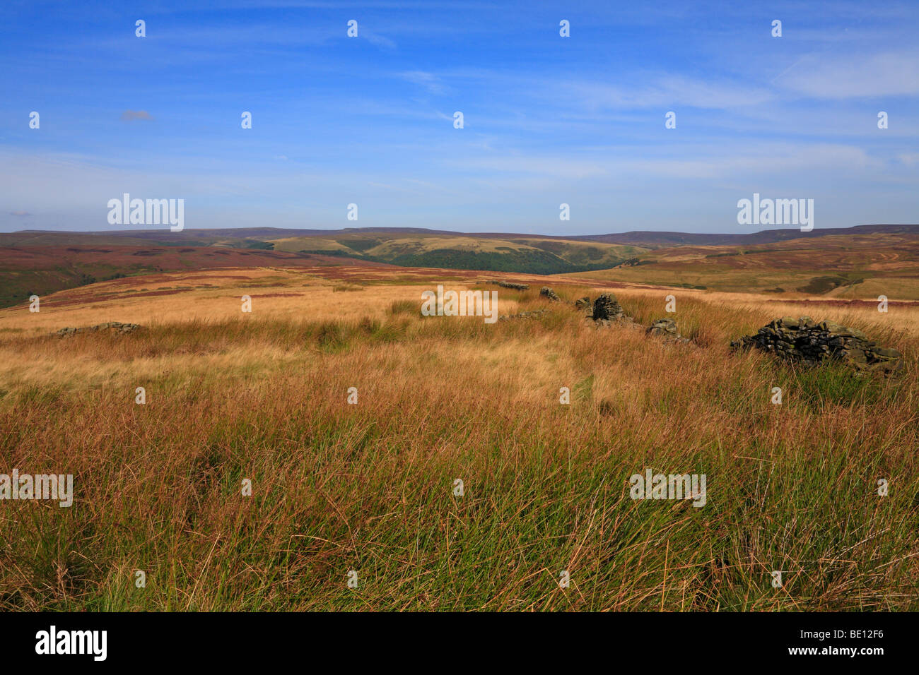 Die obere Derwent Valley in Richtung Bleaklow und Howden Mauren, Derbyshire, Peak District National Park, England, UK. Stockfoto