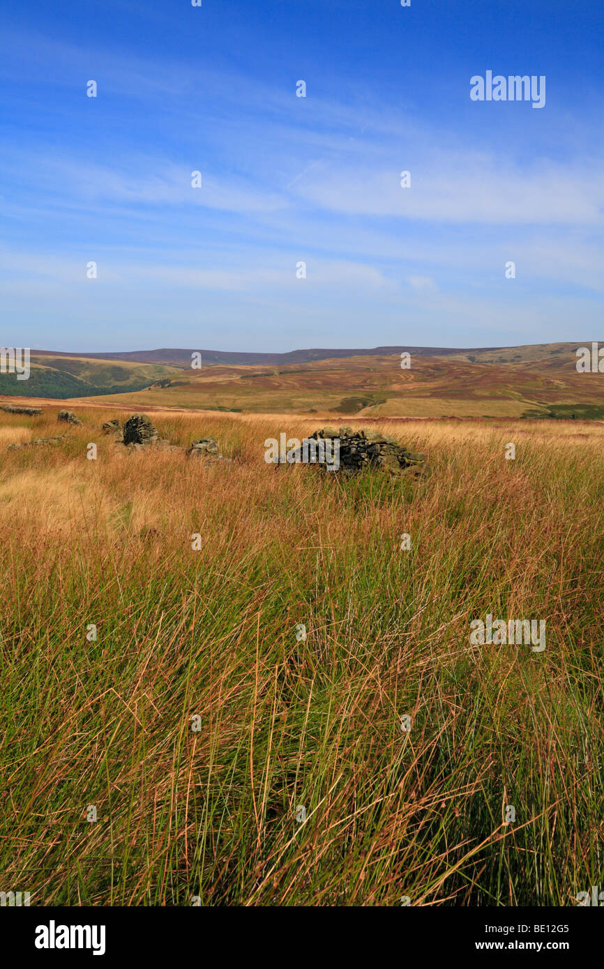 Die obere Derwent Valley in Richtung Bleaklow und Howden Mauren, Derbyshire, Peak District National Park, England, UK. Stockfoto