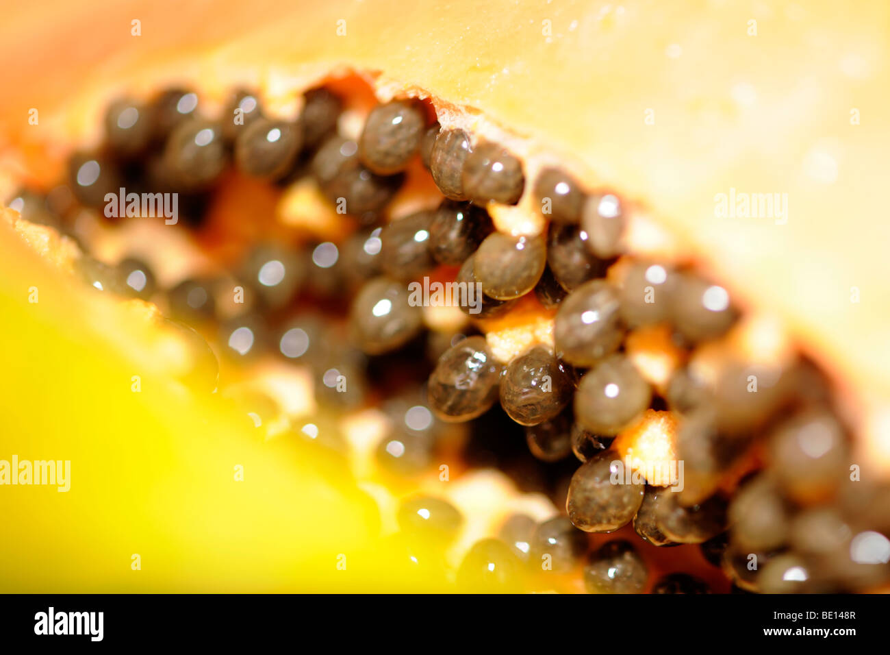 Zeigen Sie Papaya (Carica Papaya) - Scheiben von Fleisch und Samen an Stockfoto