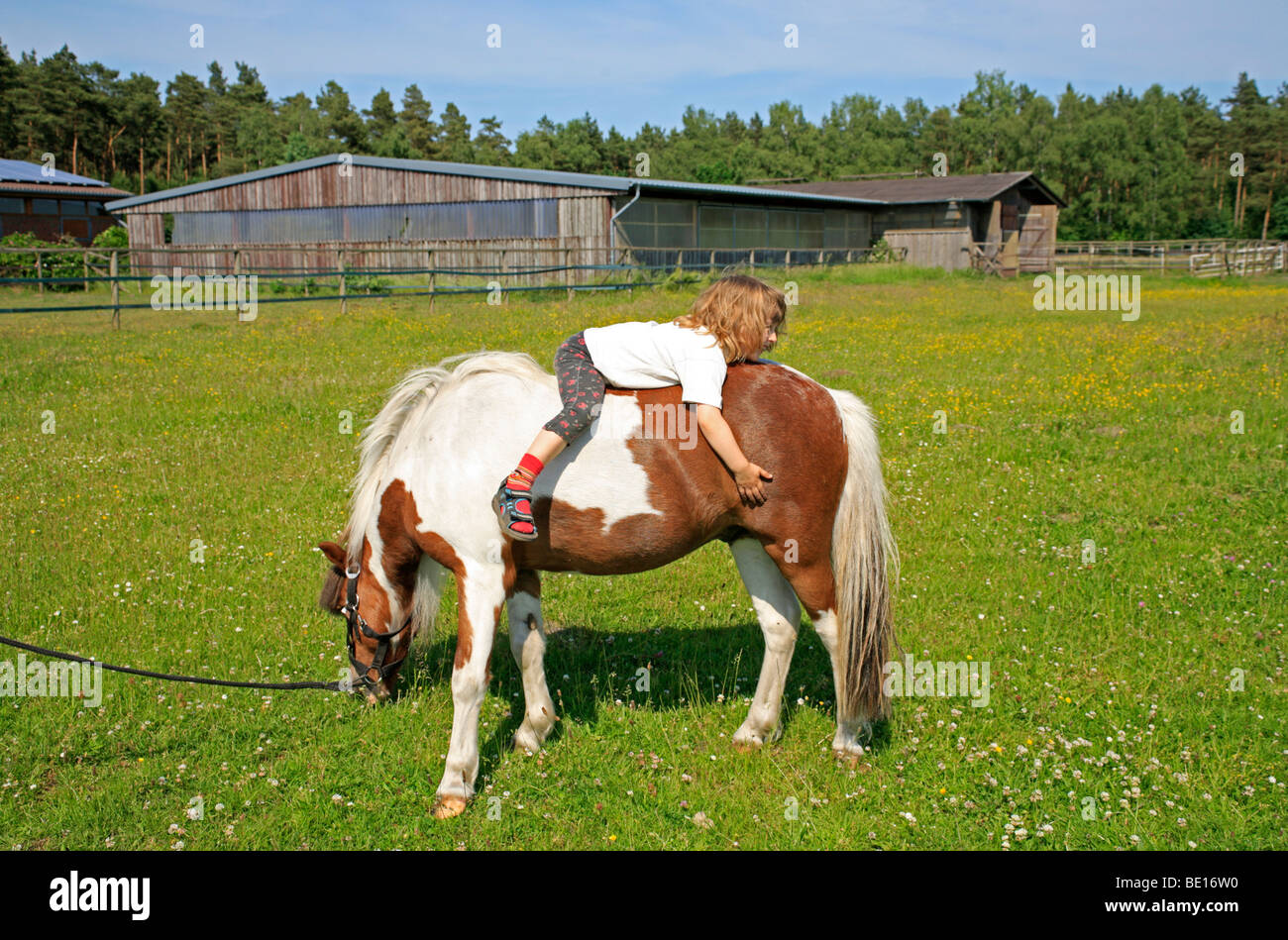 kleines Kind mit pony Stockfoto
