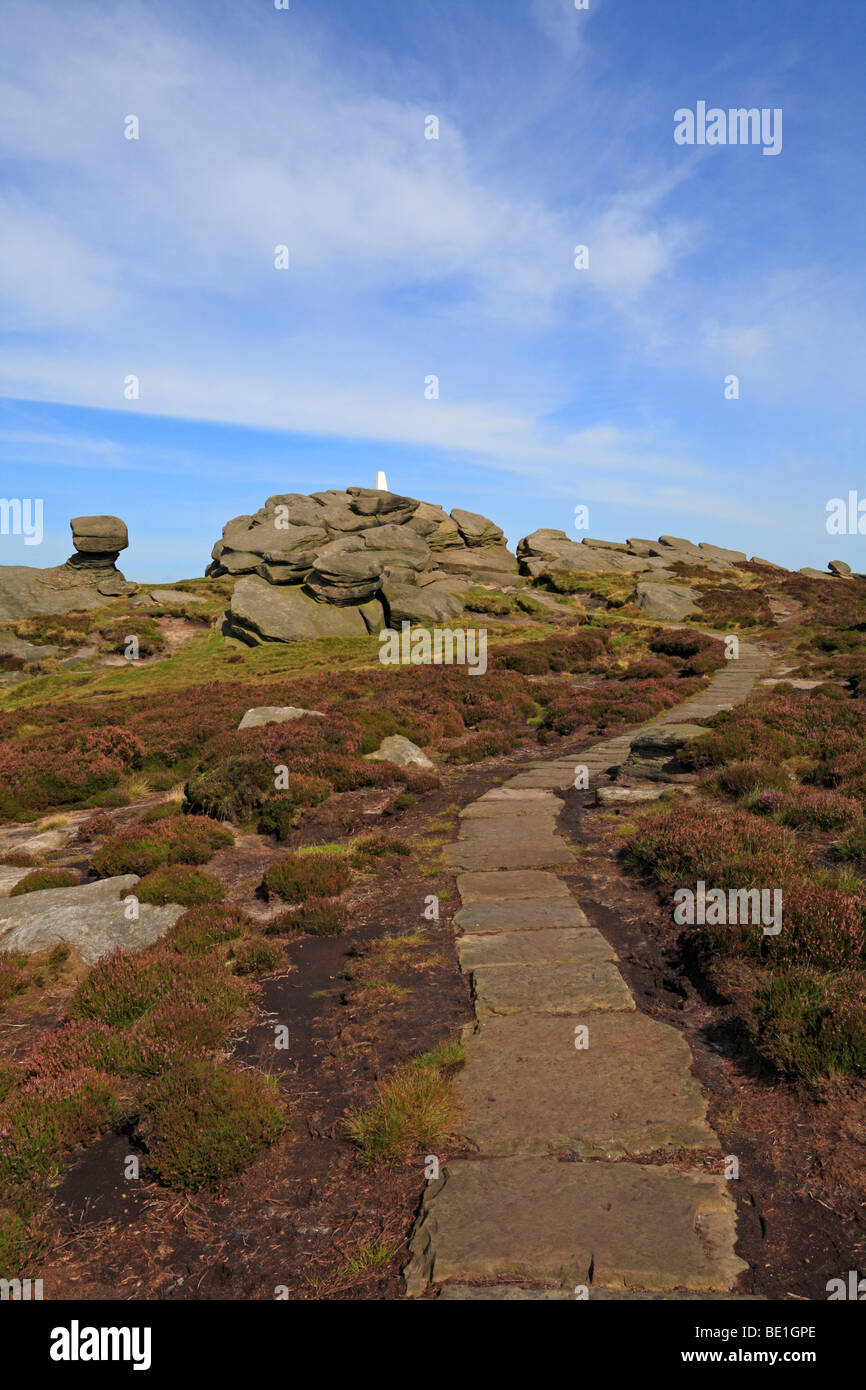 Zurück Tor in der oberen Derwent Valley auf der Derbyshire und Yorkshire Grenze, Peak District National Park, England, UK. Stockfoto