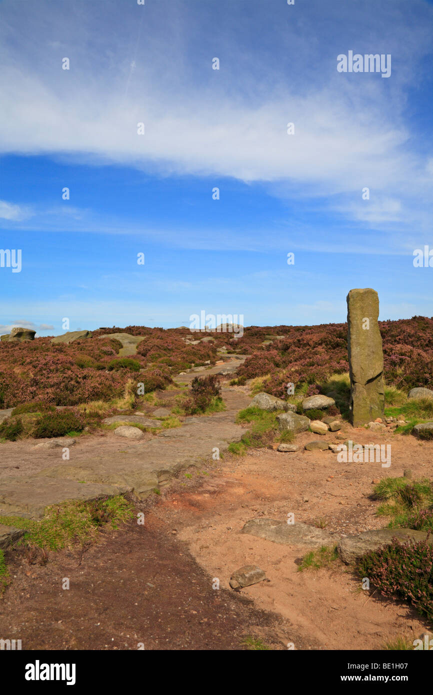 Die Grenze in der Nähe von Tor zurück in der oberen Derwent Valley auf der Derbyshire und Yorkshire Grenze, Peak District National Park, England, UK. Stockfoto
