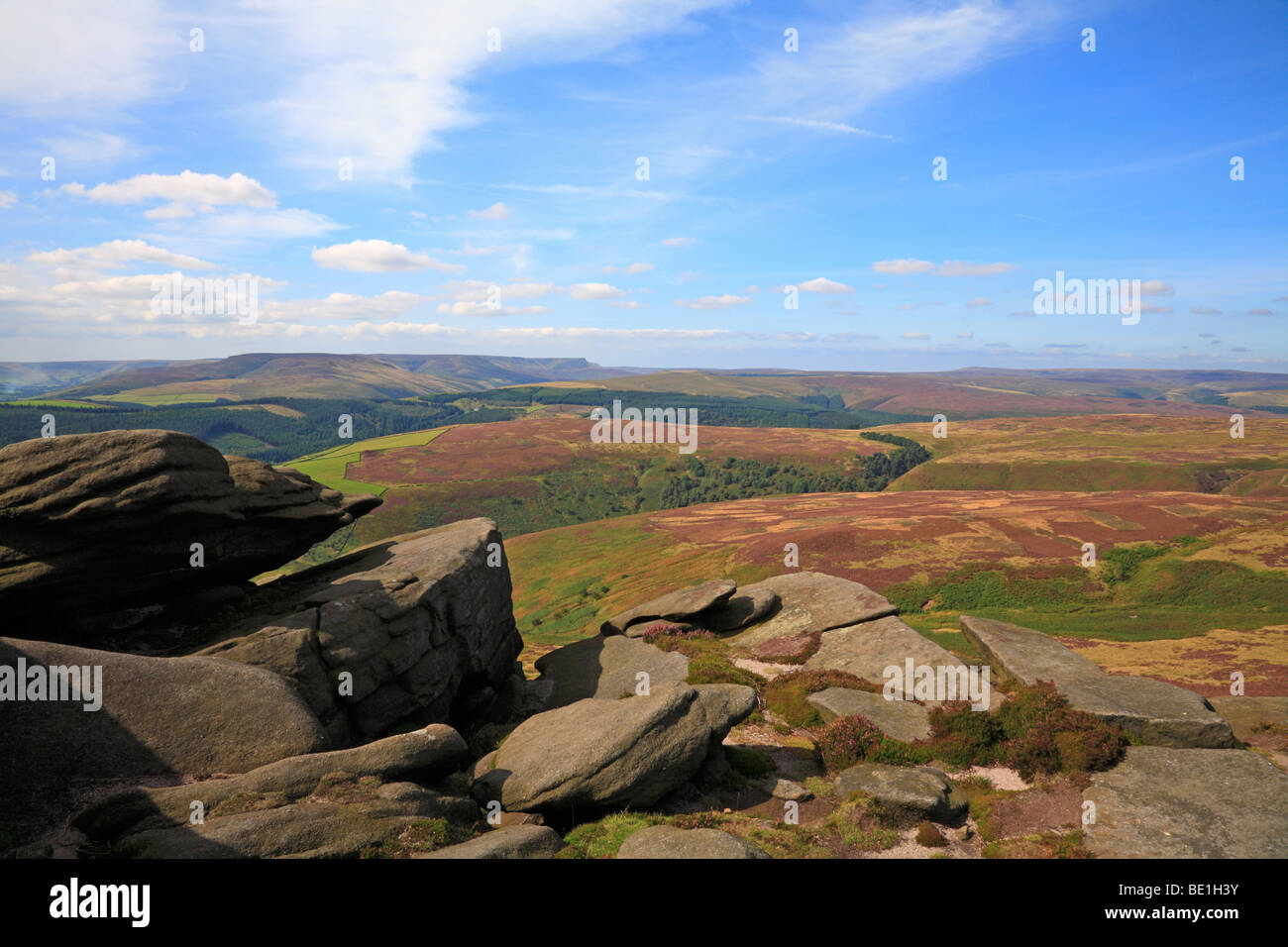 Obere Derwent Valley in Richtung Kinder Scout und Bleaklow, Derbyshire, Peak District National Park, England, UK. Stockfoto