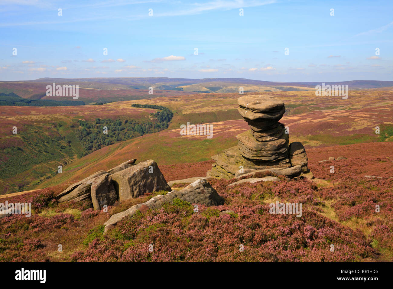 Salz-Rock Formation auf Derwent Rand im oberen Derwent Valley, Derbyshire, Peak District National Park, England, UK. Stockfoto
