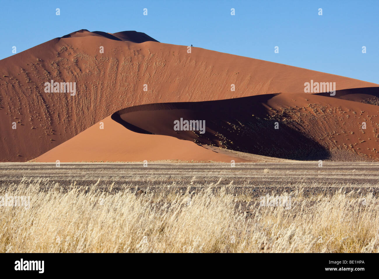 Sanddünen in der Wüste Namib-Nuakluft in der Nähe von Sossusvlei in Namibia Stockfoto
