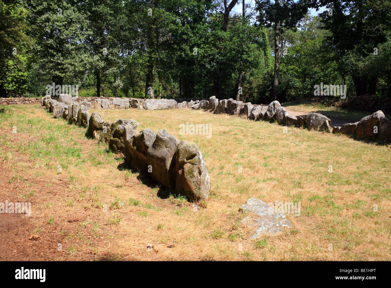 Le Quadrilatere Megalithen in der Nähe von Le Geant du Manio, Kerlescan in der Nähe von Carnac, Morbihan, Bretagne, Frankreich, Europa Stockfoto