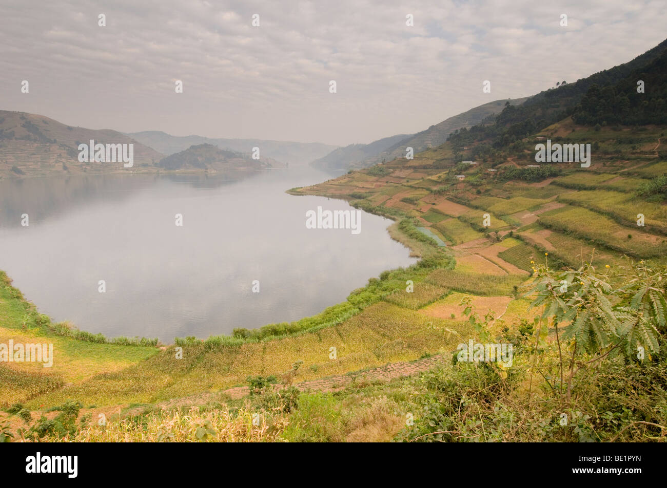 Lake Bunyonyi in Uganda Stockfoto