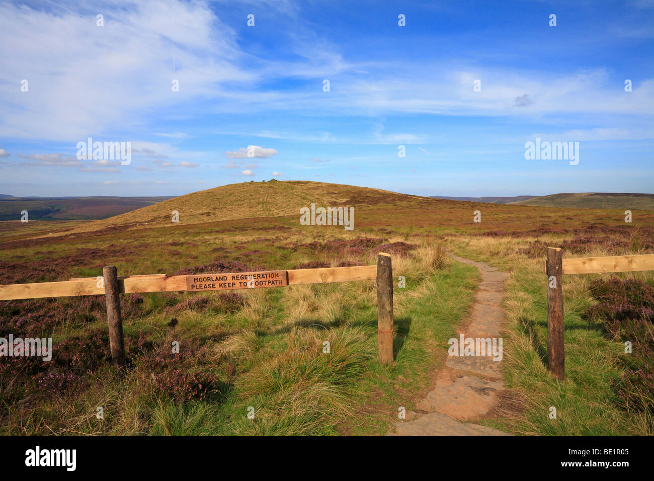 Moorland regeneration Zeichen auf Fußweg zu Kop im oberen Derwent Valley, Derbyshire, Peak District National Park, England, Großbritannien verloren. Stockfoto