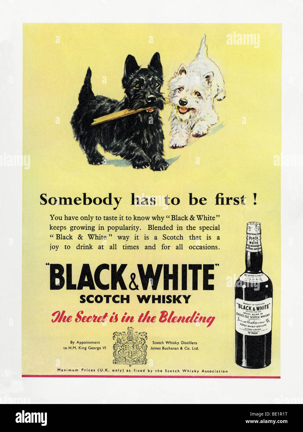 1951-Werbung für schwarz-weiß & blended Scotch whisky Stockfoto