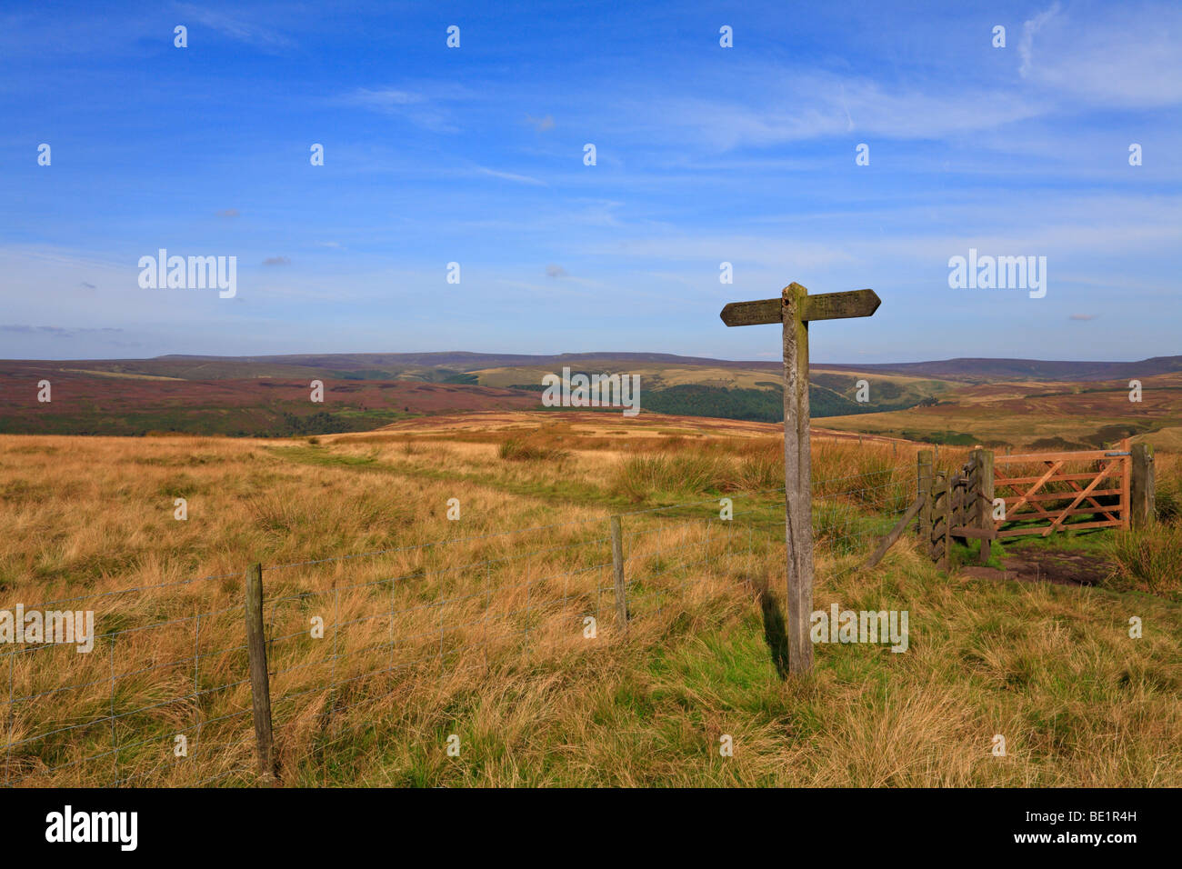 Holz- Wegweiser in der oberen Derwent Valley, Derbyshire, Peak District National Park, England, UK. Stockfoto