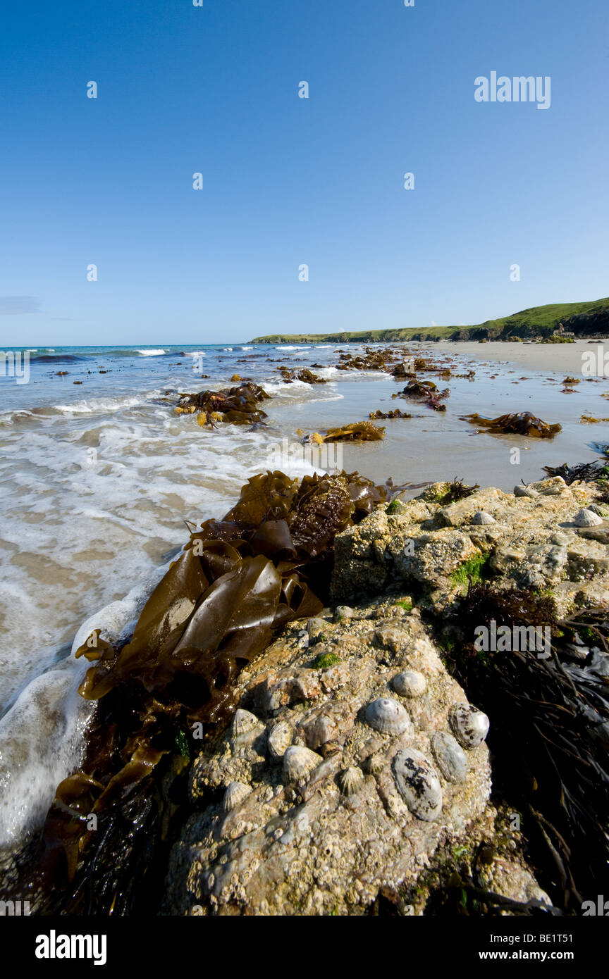 Weite des leeren Strand auf der Halbinsel von Penrhyn Llyn, Wales Stockfoto