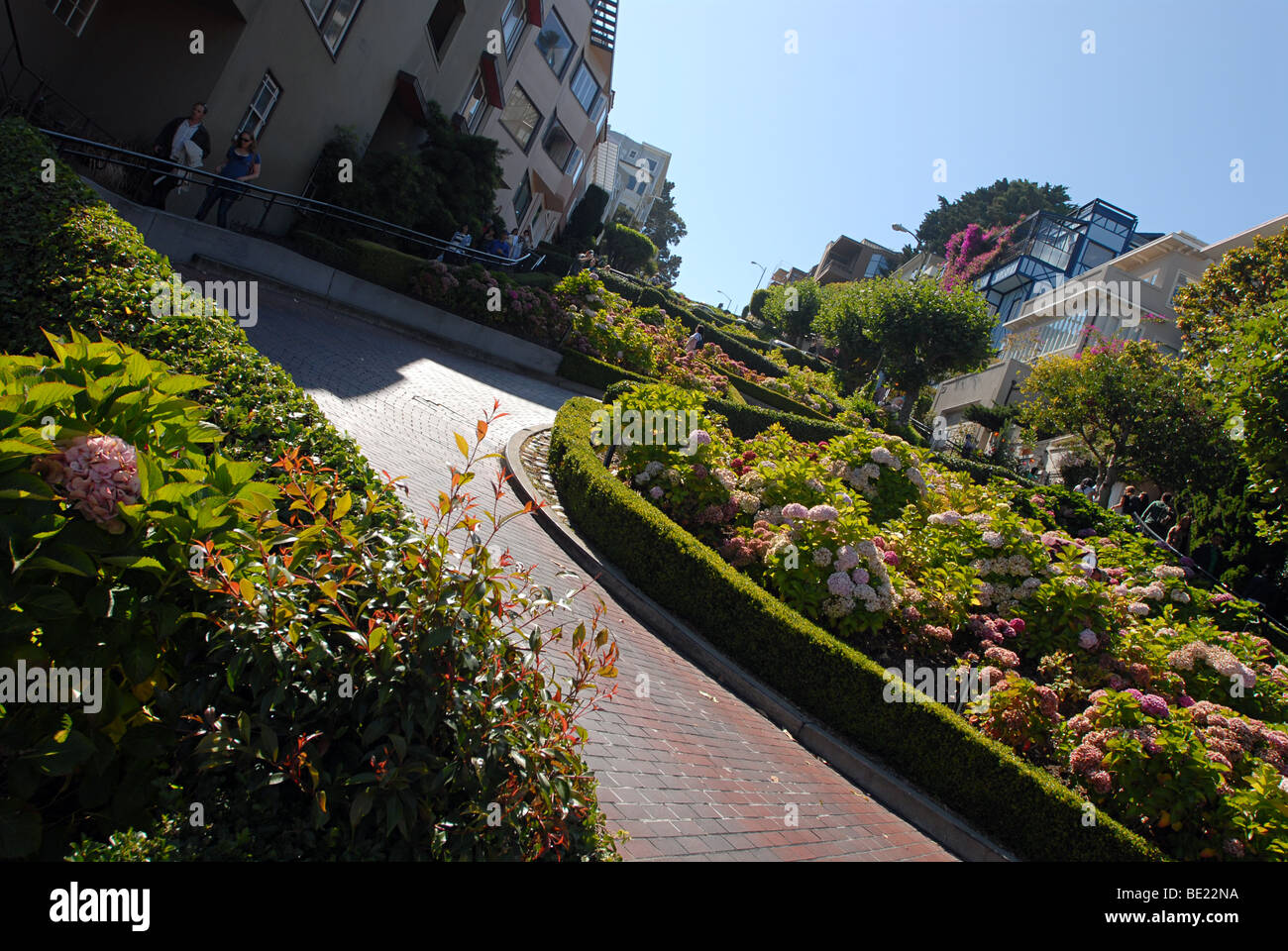 Lombard Street, San Francisco Stockfoto