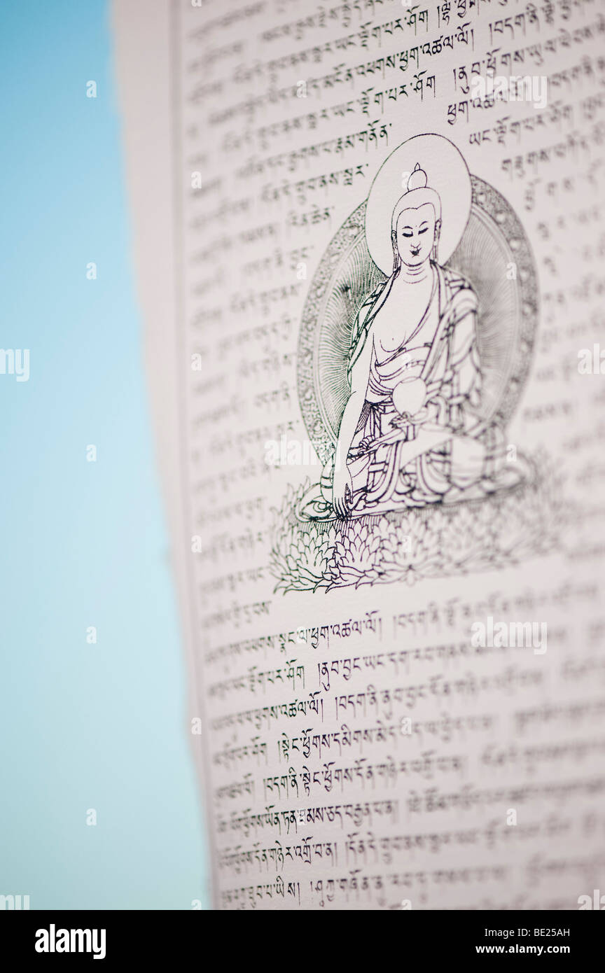 Buddhistische Gebetsfahnen gegen den blauen Himmel. Indien Stockfoto