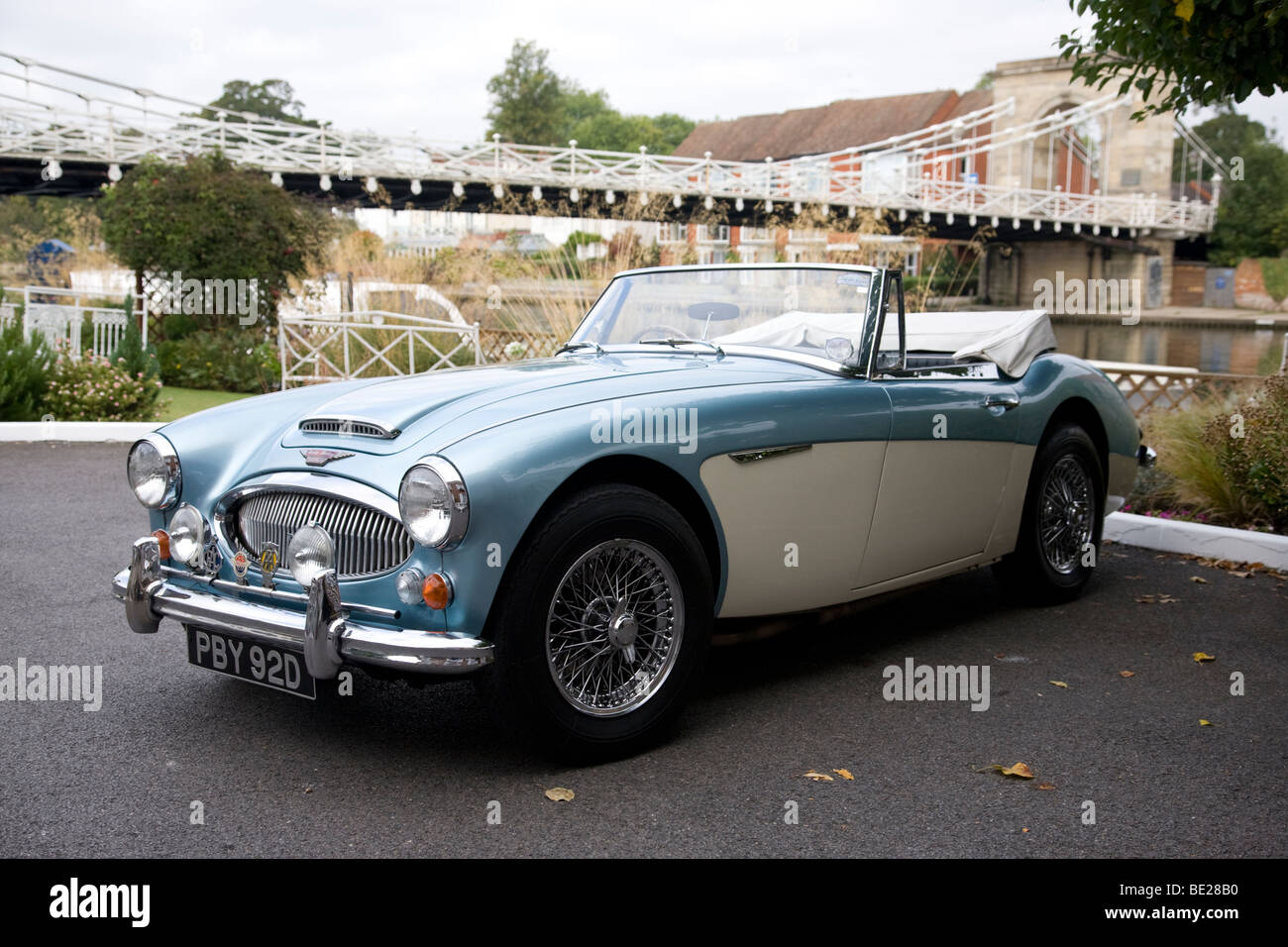 Austin-Healey Stockfoto