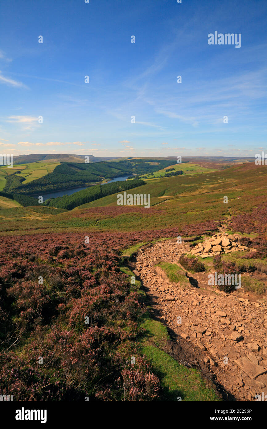 Ladybower und Derwent Stauseen, Obere Derwent Valley in Richtung Kinder Scout, Derbyshire Peak District National Park, England, UK. Stockfoto