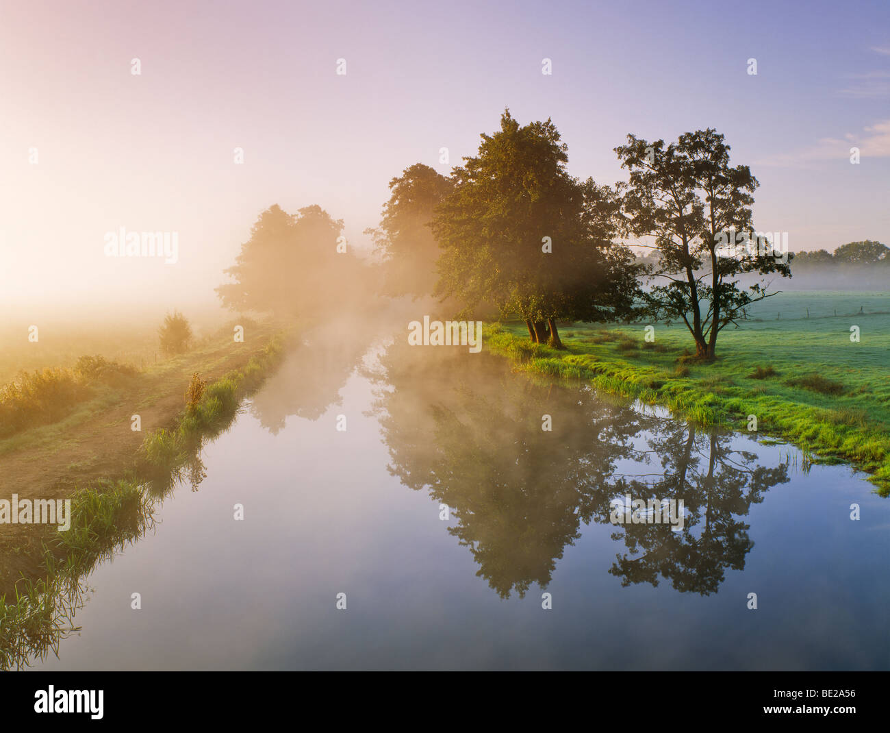 Fluss Wey Navigation auf senden in der Nähe von Guildford, Surrey, UK. Misty Herbst Dawn. Stockfoto