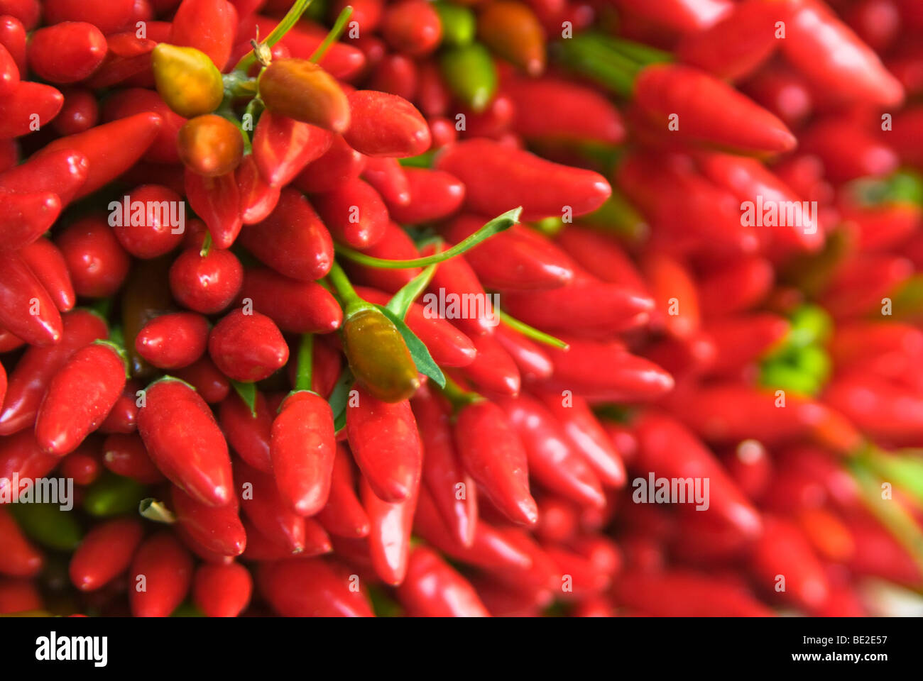 Horizontale Foto von Chilis in einem Venedig-Markt Stockfoto