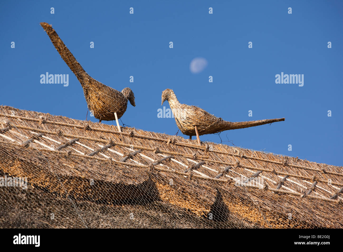 Großbritannien, England, Staffordshire, Stafford, Shallowford, Izaak Walton Cottage, strohgedeckten Vögel auf Dach Stockfoto