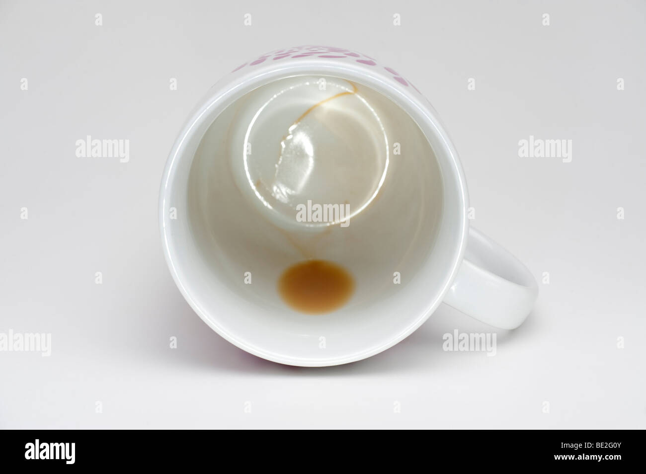 Geächteter Tee in eine weiße Tasse Stockfoto