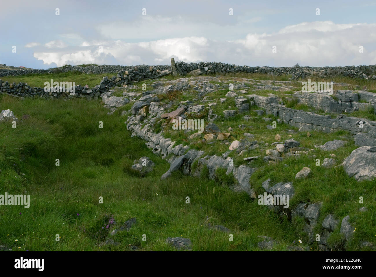 Stoney Feld umgeben mit traditionellen Steinmauern, Inis Mor (Inismore) Insel, Aran-Inseln, Co. Galway, Irland Stockfoto