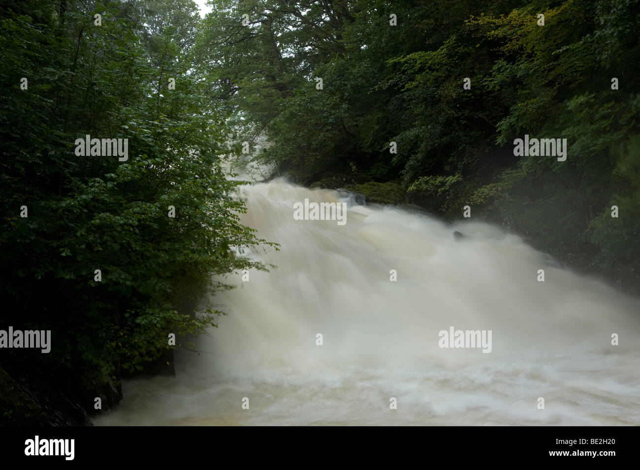 Swallow Falls ist ein Wasserfall System in der Nähe von Betws-y-Coed in Conwy, Wales Stockfoto