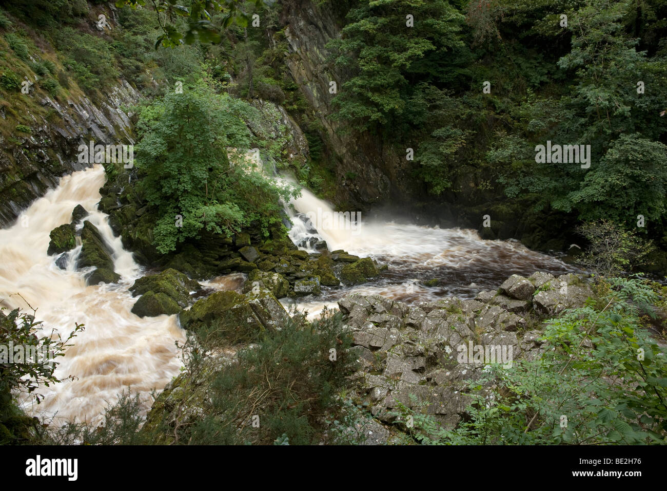 Conwy Stürze sind ein Wasserfall des Flusses Conwy, Wales, Großbritannien Stockfoto