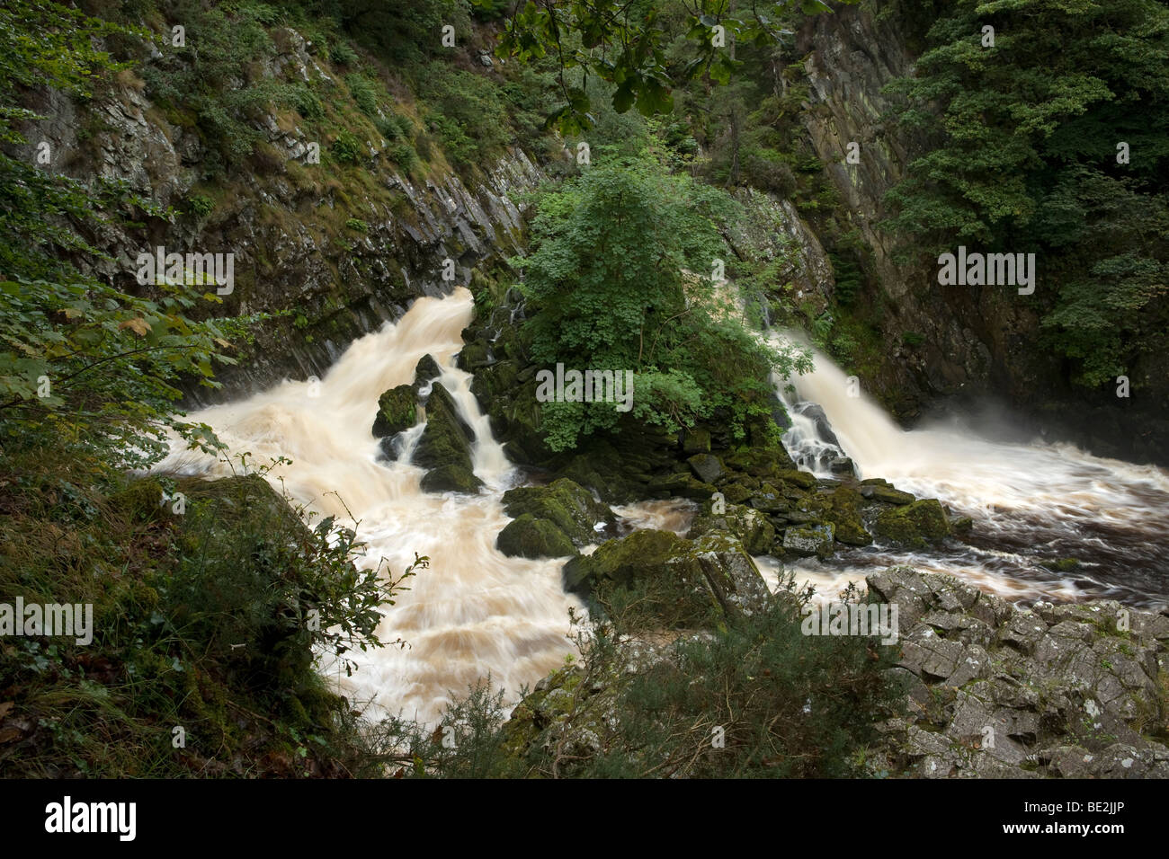 Conwy Stürze sind ein Wasserfall des Flusses Conwy, Wales, Großbritannien Stockfoto