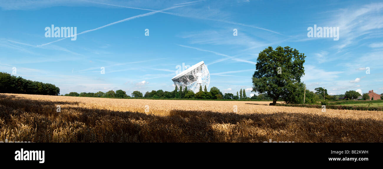 Jodrell Bank Radioteleskop und Weizen Feld, Cheshire, England, UK Stockfoto