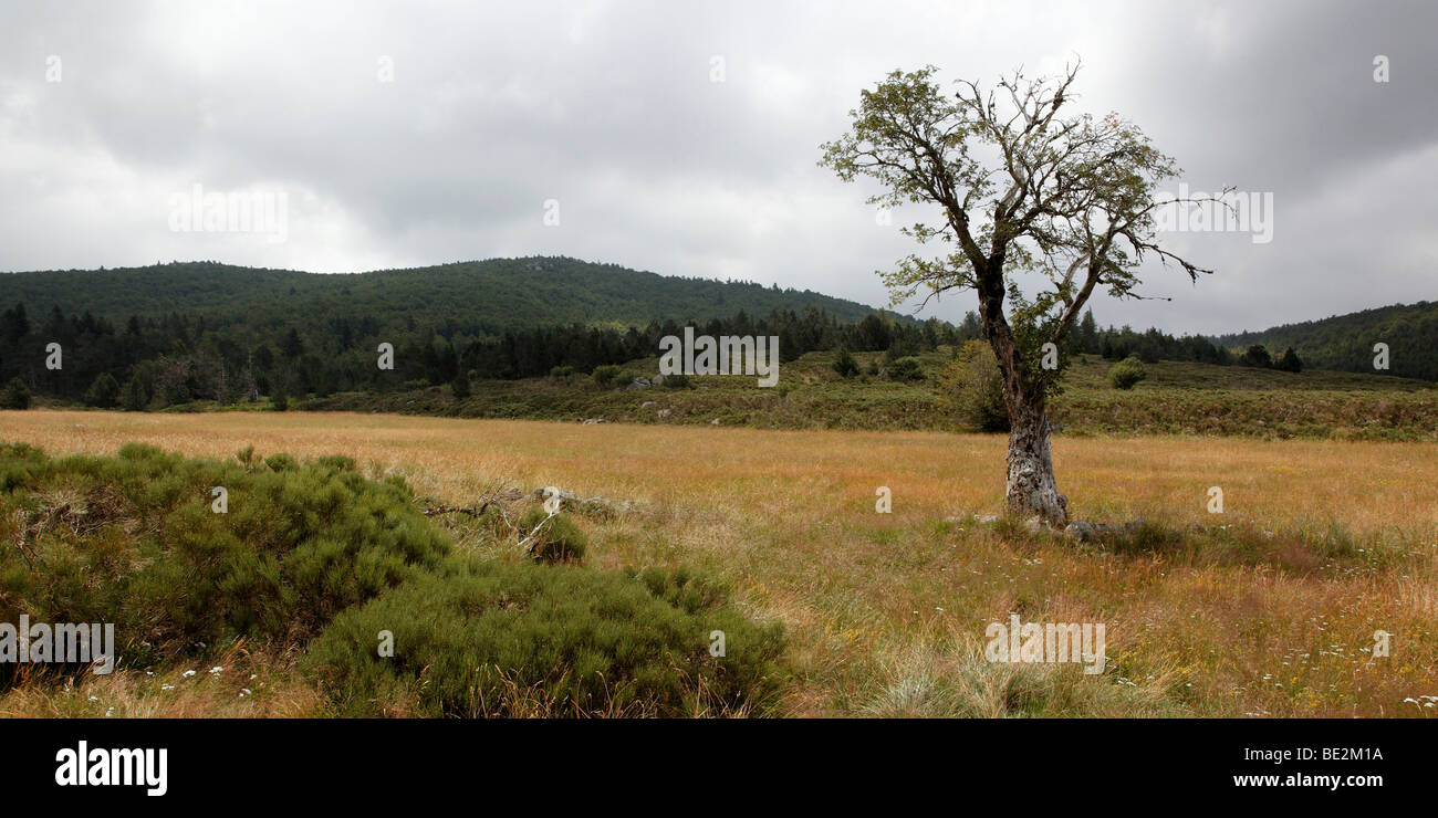 Ausflug in den Nationalpark der Cevennen ' 09 Stockfoto