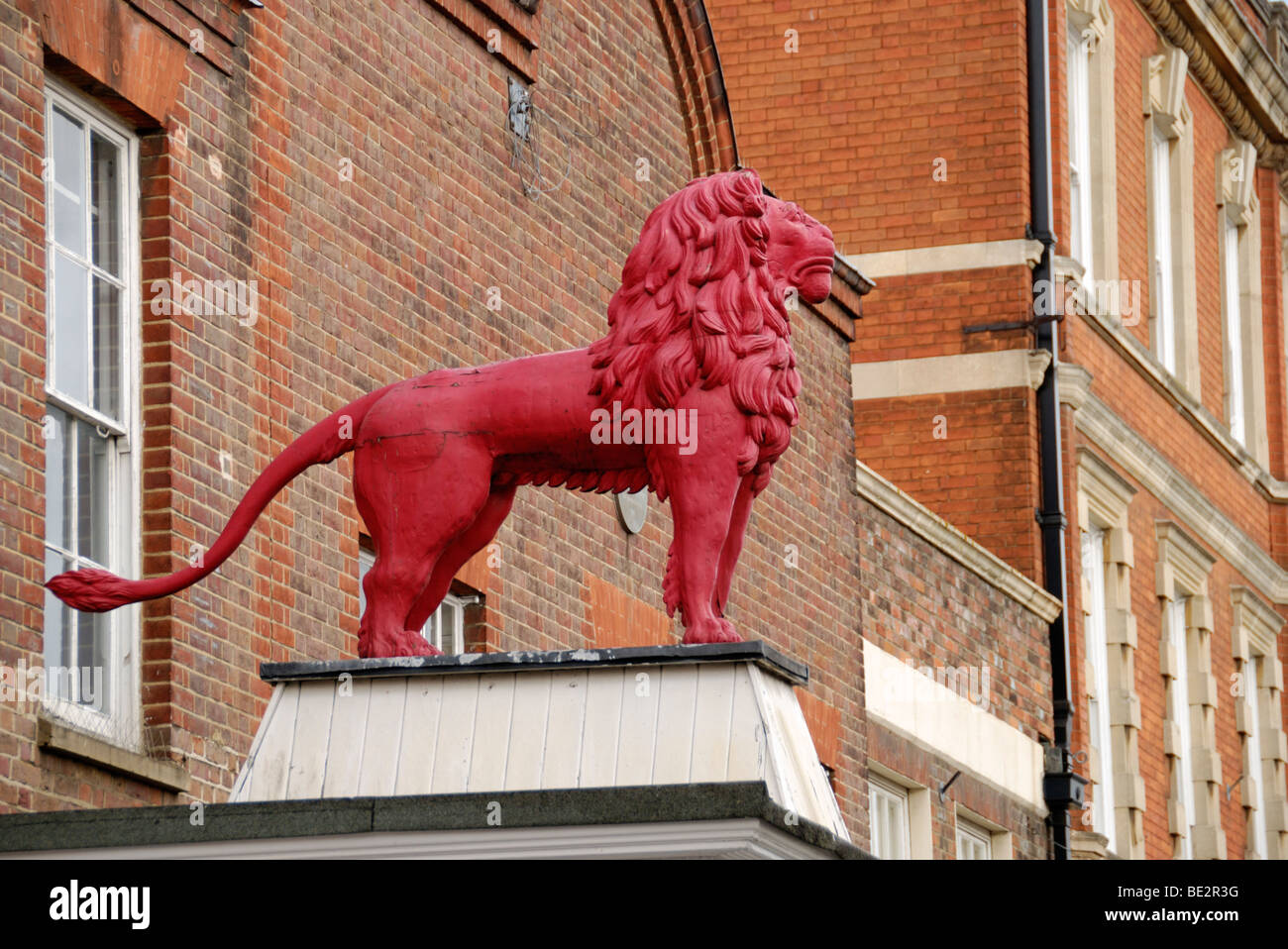 Statue eines Löwen vor dem ehemaligen Red Lion Hotel in High Wycombe High Street, Buckinghamshire, England, UK. Stockfoto