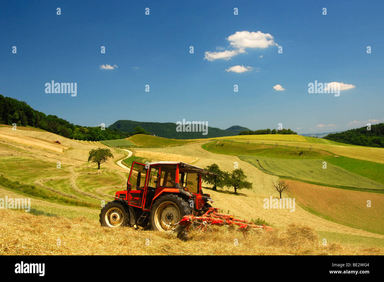 Traktor machen Heu auf den Wiesen im Schweizer Mittelland, Kanton Aargau, Schweiz, Europa Stockfoto