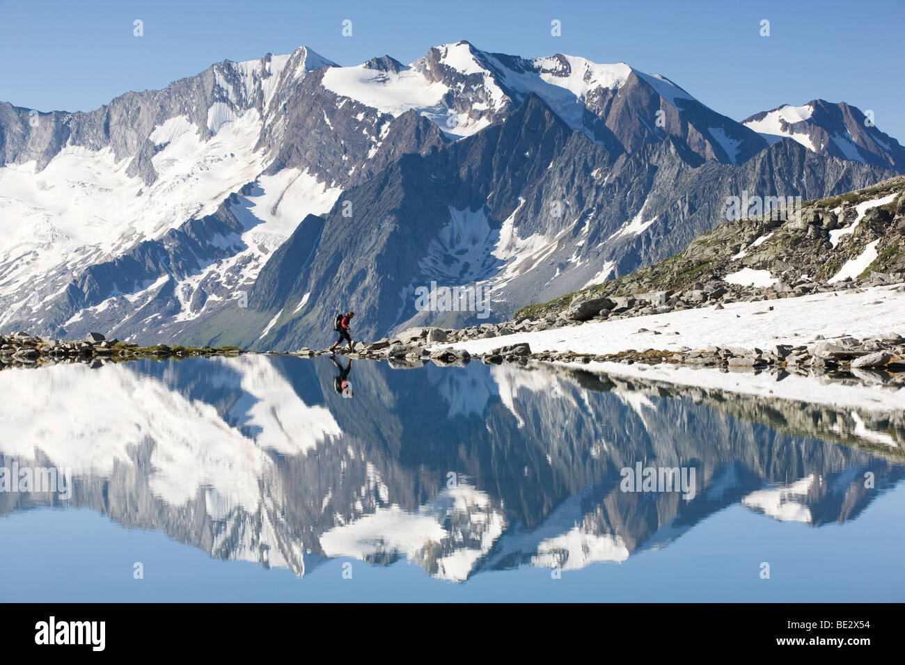 Mt. Hochfeiler spiegelt sich in den Friesenbergsee See, Zillertaler Alpen, Tirol, Österreich Stockfoto