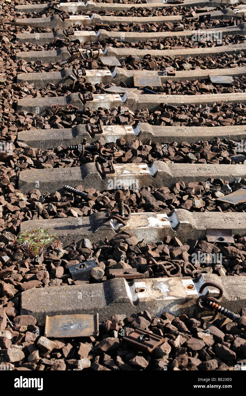 Reihe von konkreten Bahnschwellen mit Gleise demontiert, Rangier-Hof, Duisburg-Wedau, Ruhrgebiet, Nordrhein-Westph aufgegeben Stockfoto