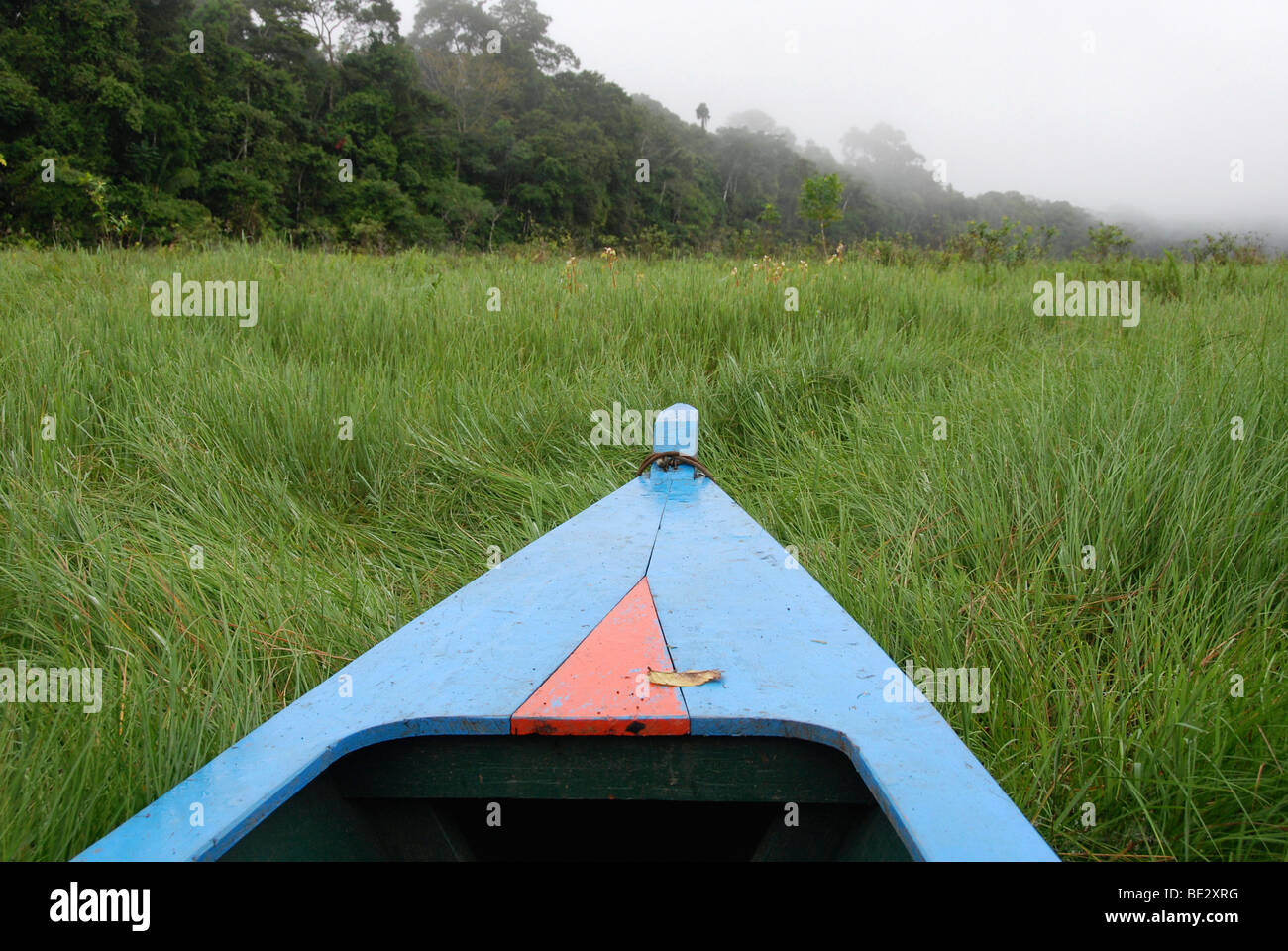 Bug eines Bootes, Lago Tres Chimbadas, Regenwald, Amazonas, Peru, Südamerika, Lateinamerika Stockfoto