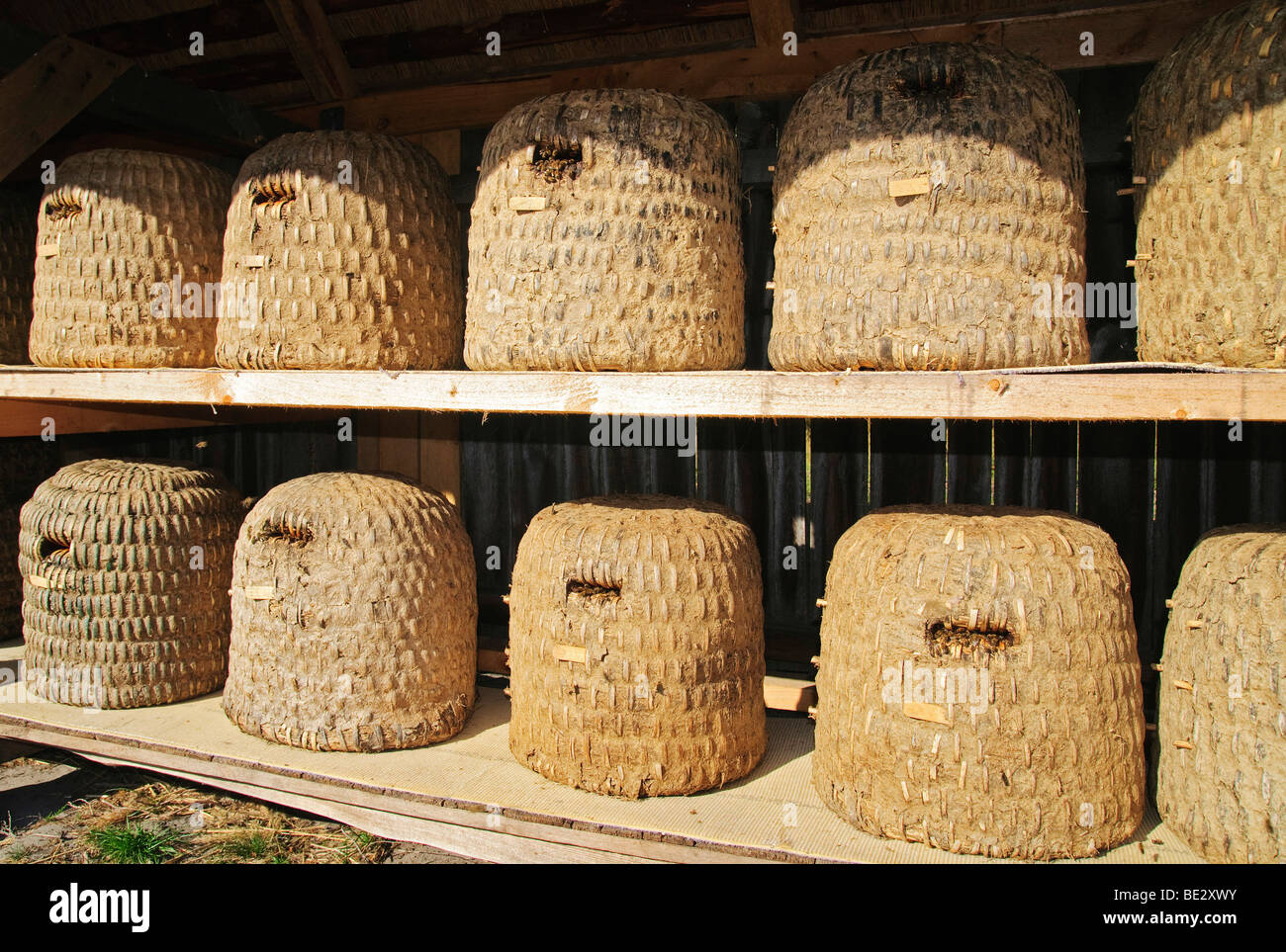 Gewebte Bienenstöcke in einem traditionellen Biene Zaun in der Nähe von Undeloh, Naturpark Lüneburger Heide, Niedersachsen, Deutschland, Europa Stockfoto