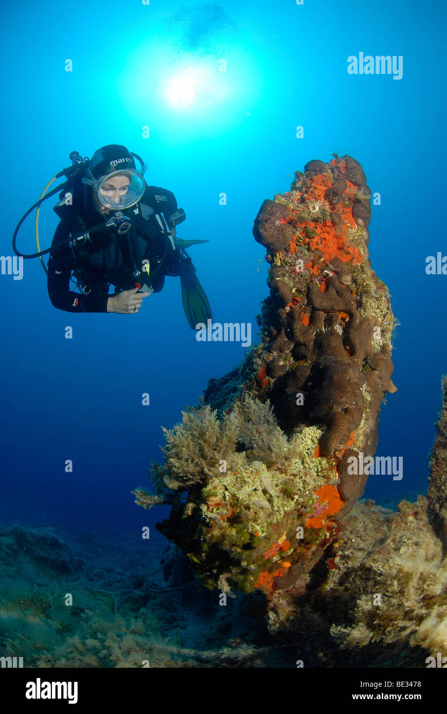 Taucher und Felsen bedeckt mit Korallen, Datca Halbinsel, Aegaen Meer, Mittelmeer, Türkei Stockfoto