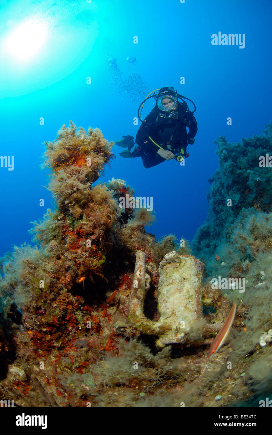 Taucher entdeckt Amphora bei Serge Rock, Datca Halbinsel, Aegaen Meer, Mittelmeer, Türkei Stockfoto