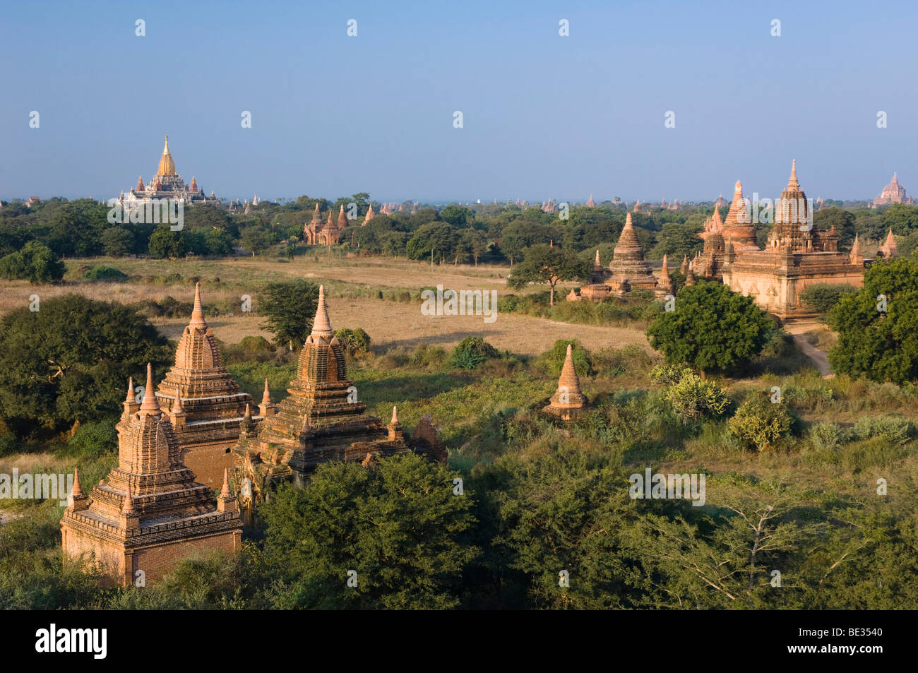 Pagode-Feld in Alt Bagan, Pagan, Burma, Myanmar, Asien Stockfoto